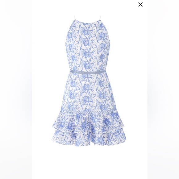 Keepsake Wild Things Lace Mini Dress | Size Large - Picture 4 of 6